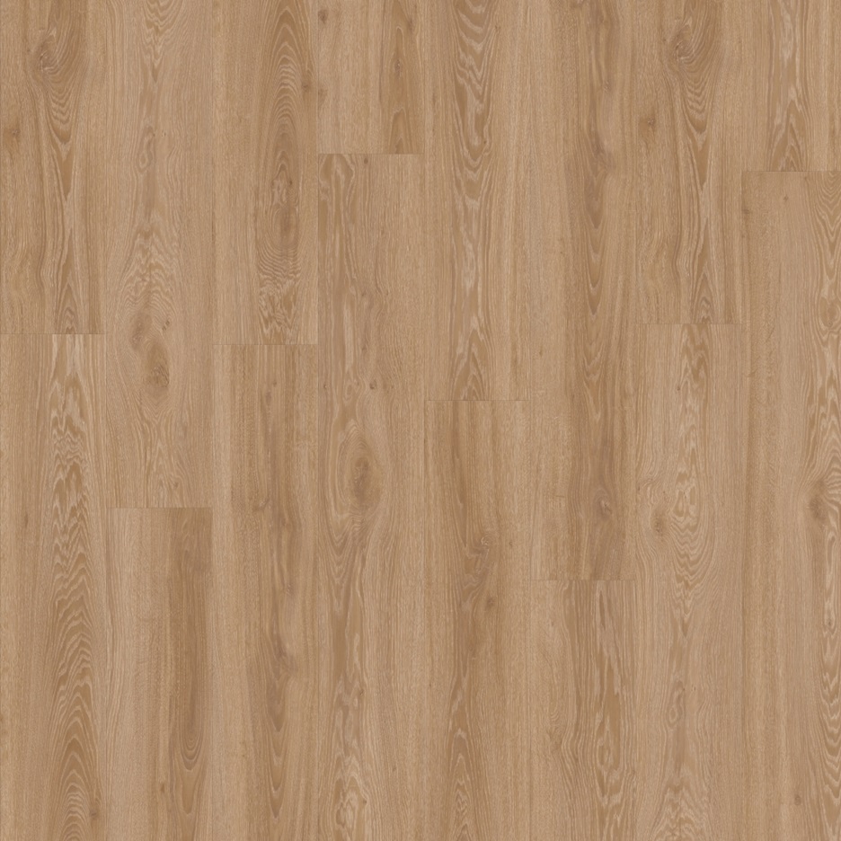  Topshots of Brown Blackjack Oak 22450 from the Moduleo LayRed collection | Moduleo